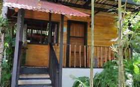 Papaya Wildlife Lodge
